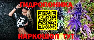 соль ск Пушкино