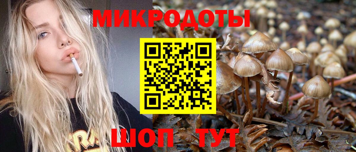 где купить наркотик  Вход с VPN  Псилоцибиновые грибы мухоморы  Новокубанск  Галлюциногенные грибы Cubensis 