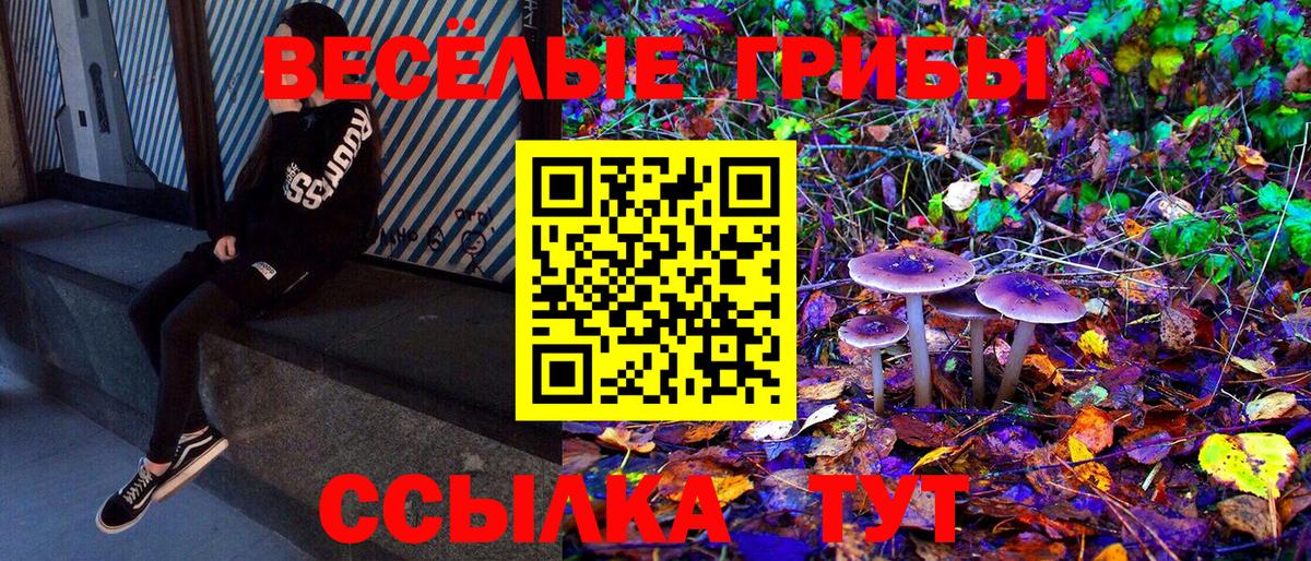 Галлюциногенные грибы мухоморы Новокубанск